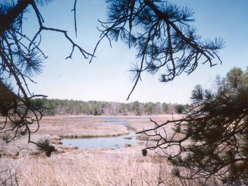 Indian Lands Conservation Area